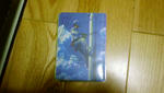 DSC00050.JPG