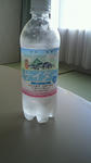 P1000045.JPG