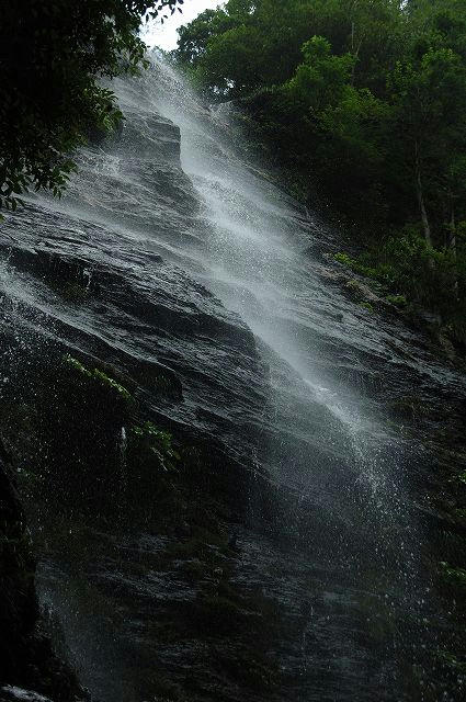 DSC_4772.jpg