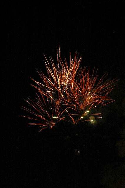 DSC_4992.jpg