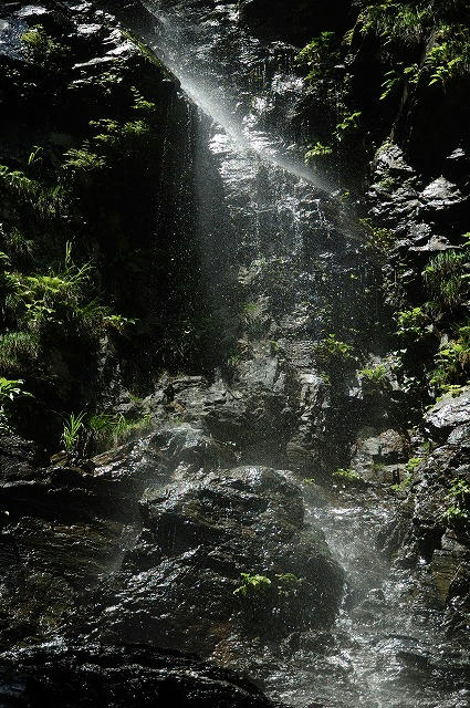 DSC_6456.jpg