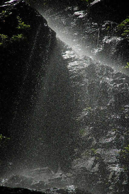 DSC_6491.jpg