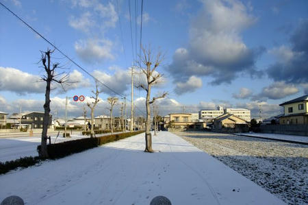 DSCF3223.jpg