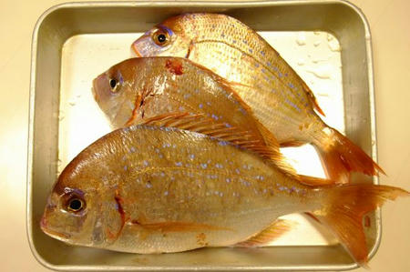DSCF3246.jpg