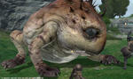 FFXIV_1296571733-2.jpg