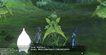 FFXIV_201102061240-6.jpg
