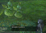 FFXIV_201102061240-10.jpg