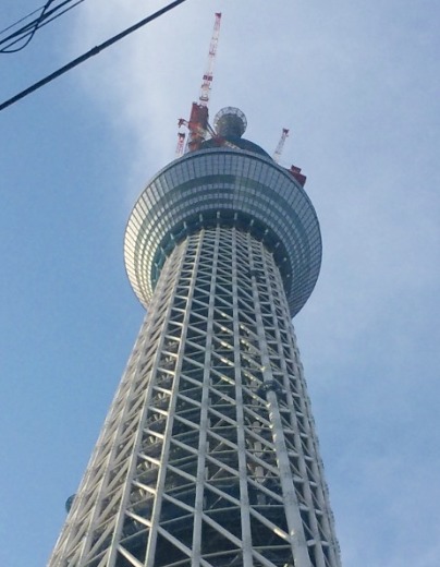 下から見上げてみれば・・・