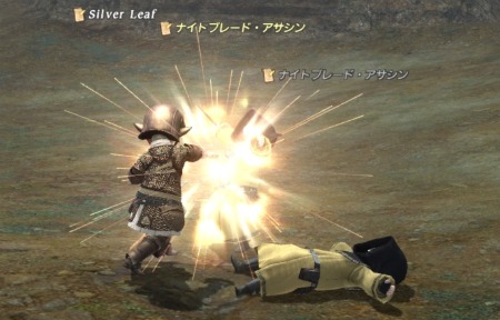 FFXIV_1306941250.jpg