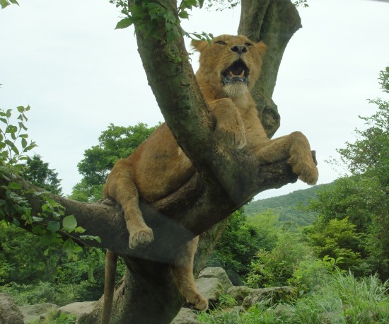 20110718002.JPG