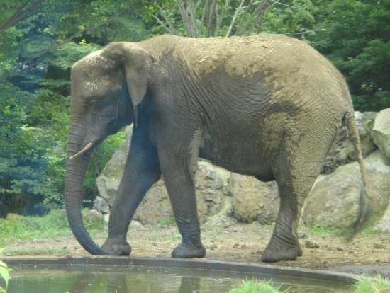 20110718003.JPG