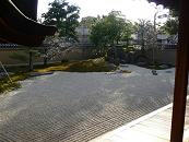 P1000915.JPG