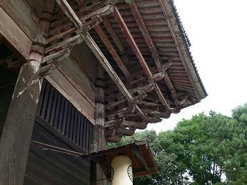 P1040426.JPG