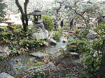相楽園の庭