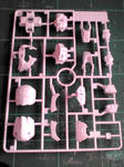 sF1000145.JPG