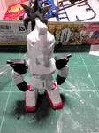 sF1000146.JPG