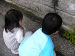 P1060602.jpg