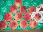 DSCF1220.jpg