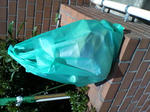 TS2E0005.JPG