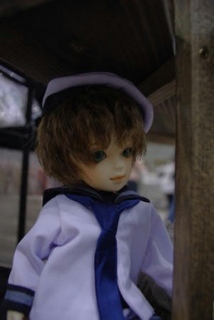 dp002.jpg