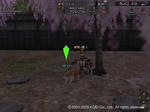 Nol09091703.JPG