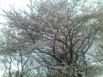 SN3K0254.jpg