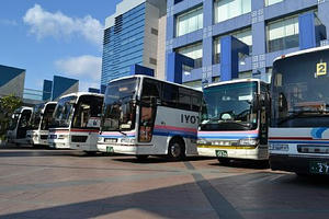62823d89.JPG