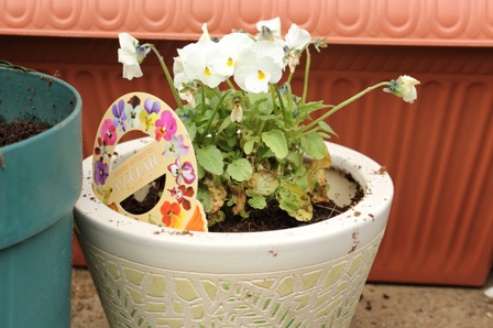 ビオラ・パールドレス