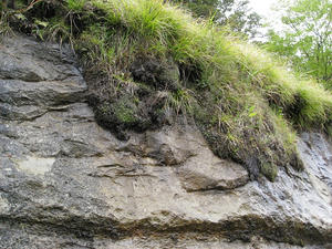 IMG_1393.JPG