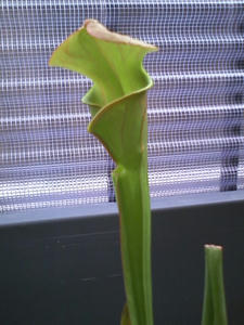 CAQOKD9A.jpg