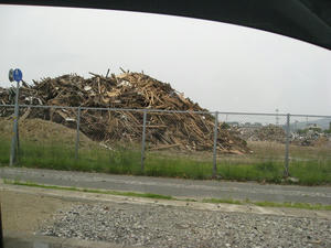 IMG_1524.JPG