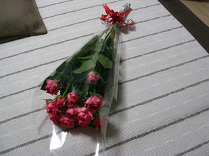 IMG_1528.JPG