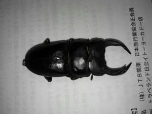 NCM_0021.JPG