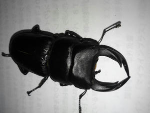 NCM_0027.JPG