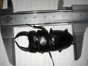 NCM_0028.JPG