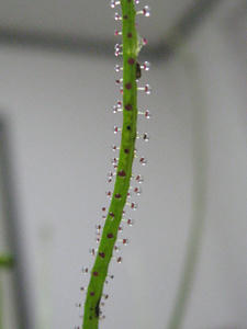IMG_2490.JPG