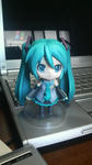P1000013.JPG