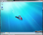 WS000009.JPG