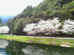 2010040413080000.JPG