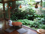 2009_06030149.jpg