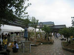 IMG_5163A.JPG