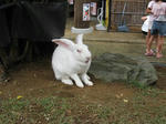 IMG_5166A.JPG
