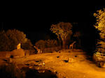 R0014498.JPG