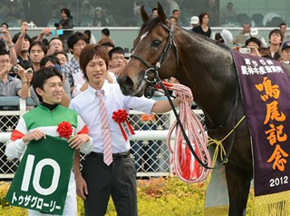 トゥザグローリー鳴尾記念