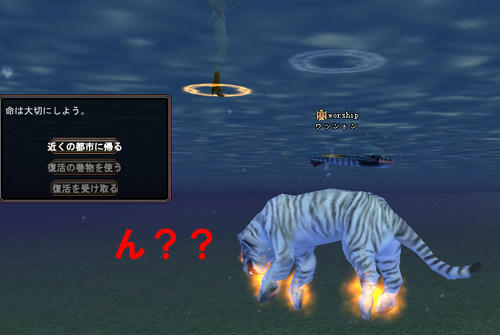 fffbc6d5jpeg
