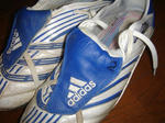 DSC02486.JPG