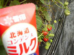DSC02593.JPG