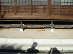 DSC02717.JPG