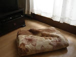 DSC027761.JPG