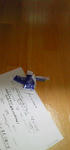 091009_085604.JPG